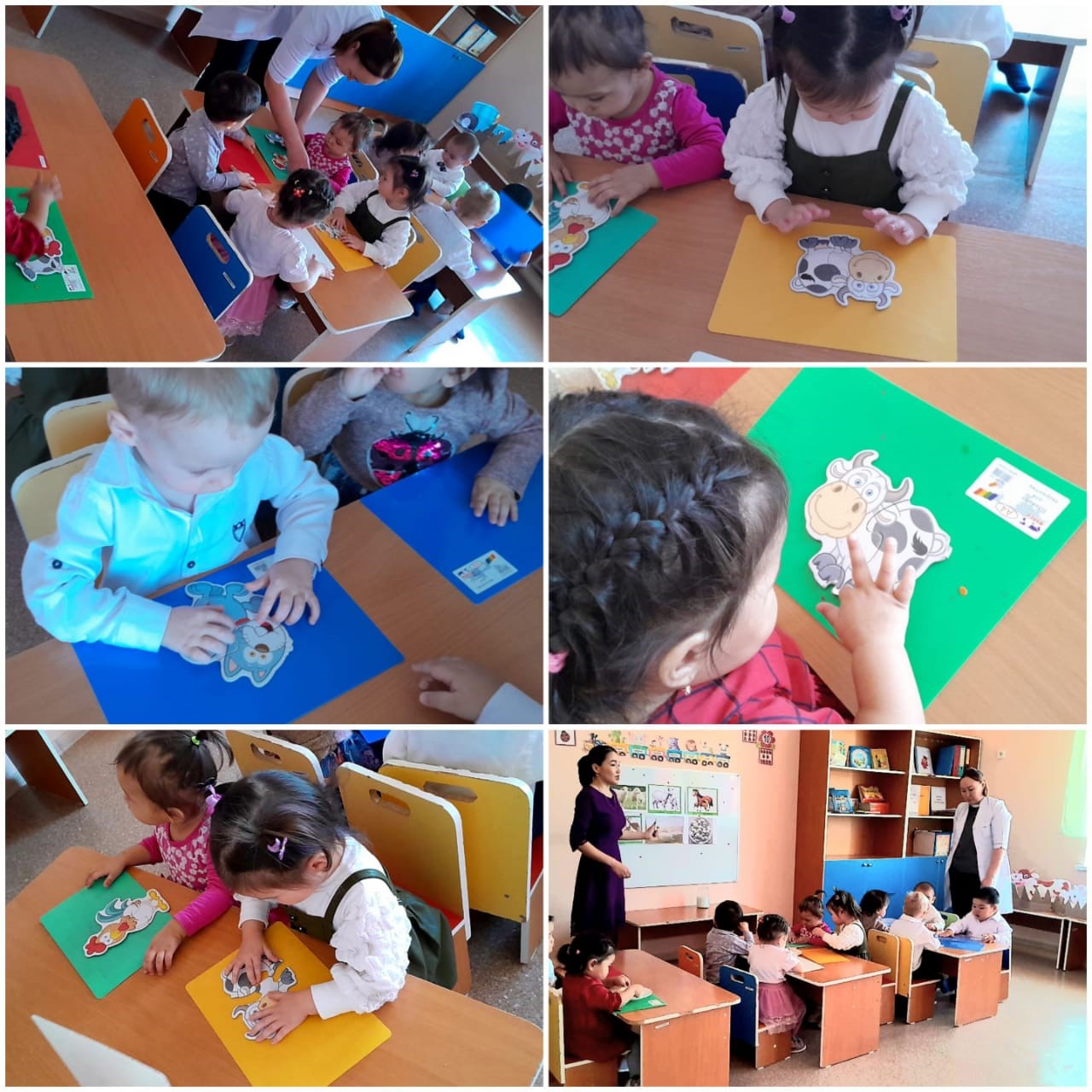 Ашық сабақ «Үй жануарлары. Сиыр, бұзау». Құлпынай кіші топ